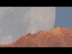 Moon Setting Behind Teide Volcano - how amazing the video is thumbnail