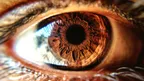 How important are eyes? thumbnail