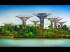 Today we will talk about Gardens by the Bay nature park, Singapore thumbnail