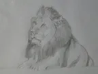 Daily Drawing Challenge - Lion thumbnail