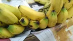 Banana – A good source of vitamin, dietary fibre and minerals thumbnail