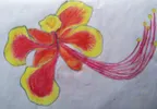 Daily Drawing Challenge : Day 23 - Flower thumbnail