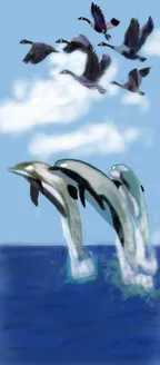 Dolphins and Birds thumbnail