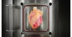 Heart failure may be prevented by using human stem cells: study reveals thumbnail