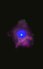 A dying star thumbnail