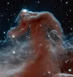 The image of Horsehead Nebula released by NASA thumbnail