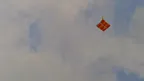 Kite in the sky thumbnail