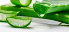 Do you know about Aloe Vera? thumbnail