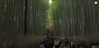 The famous Bamboo Grove Arashiyama in Kyoto thumbnail